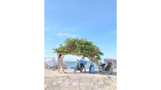 Đảo Phú Quý thu hút du khách nhờ sở hữu “vibe” rất giống với bộ phim Hometown Cha-Cha-Cha đình đám